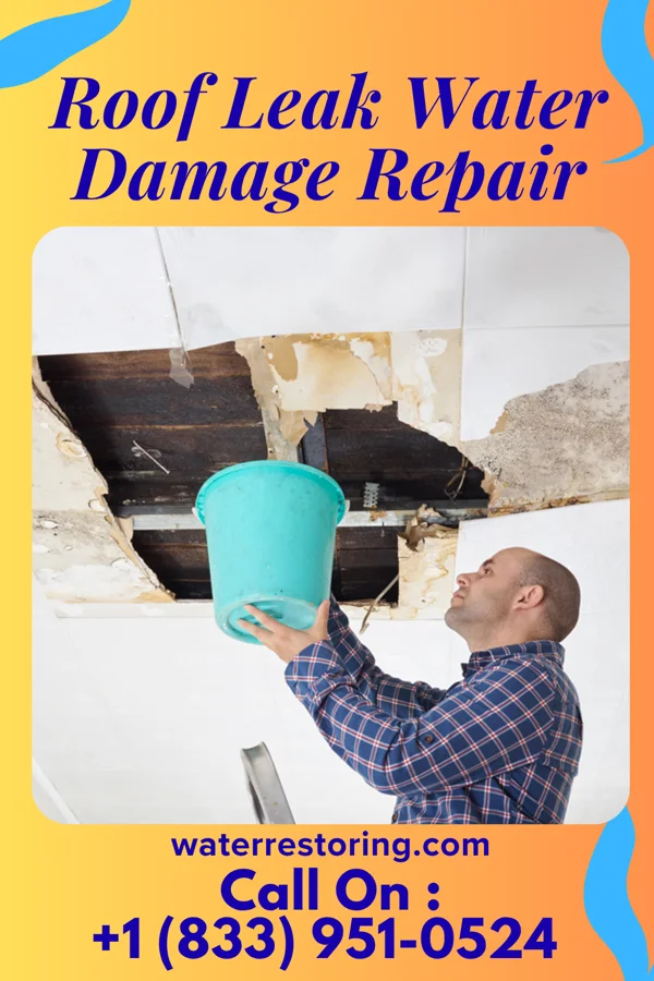 Roof Leak Water Damage Repair in Granite Falls, MN