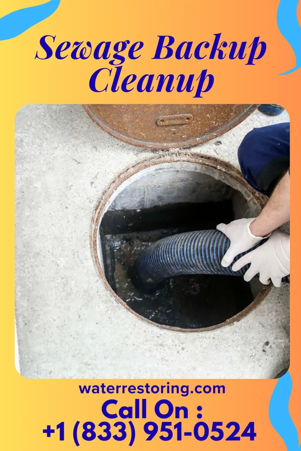 Sewage Backup Cleanup in Granite Falls, MN