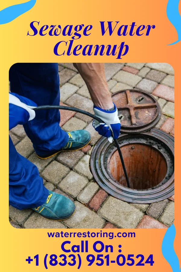 Sewage Water Cleanup in Granite Falls, MN